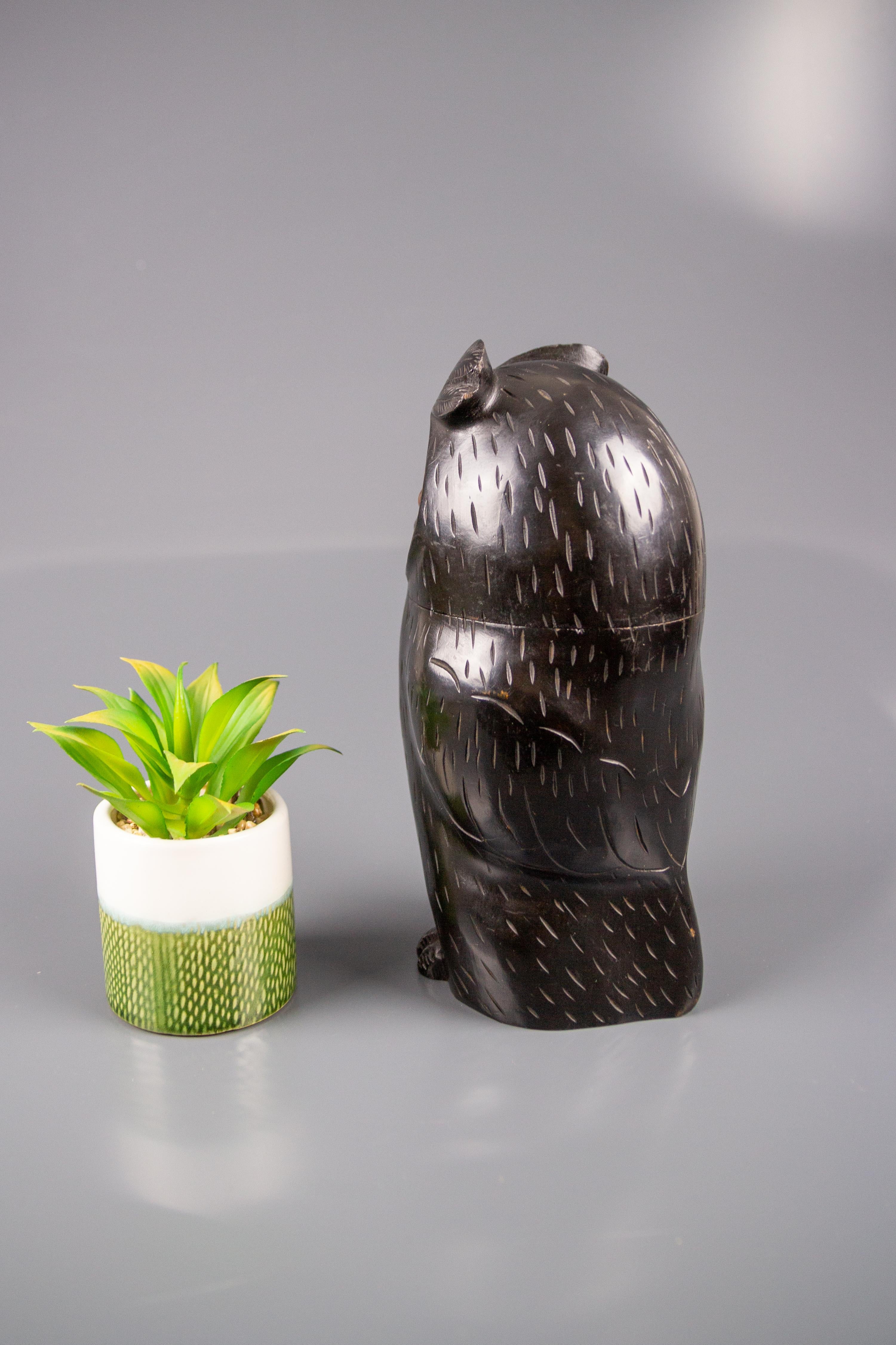 Black Forest Style Wooden Carved Trinket Box in the Shape of an Owl 5