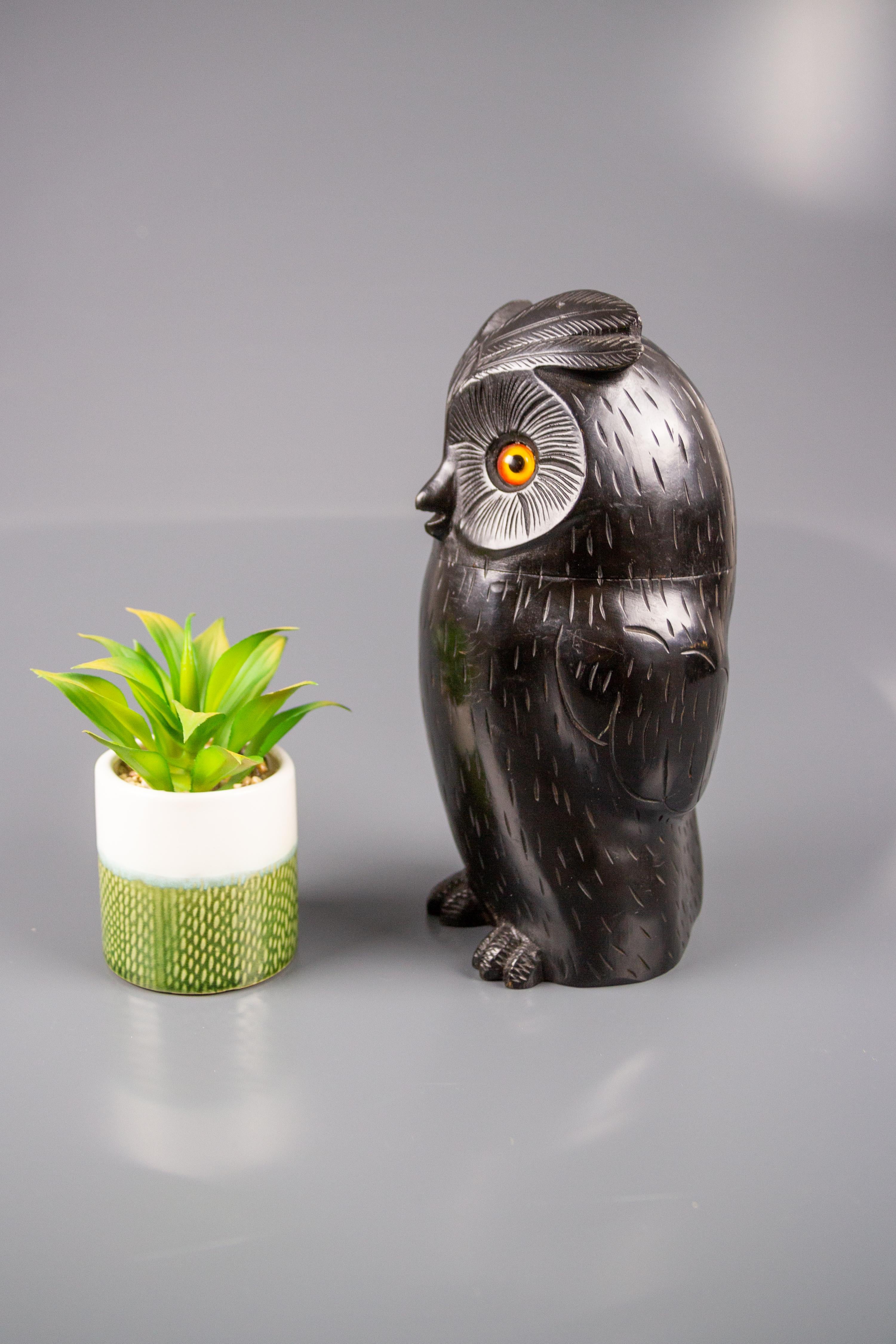 Black Forest Style Wooden Carved Trinket Box in the Shape of an Owl 6