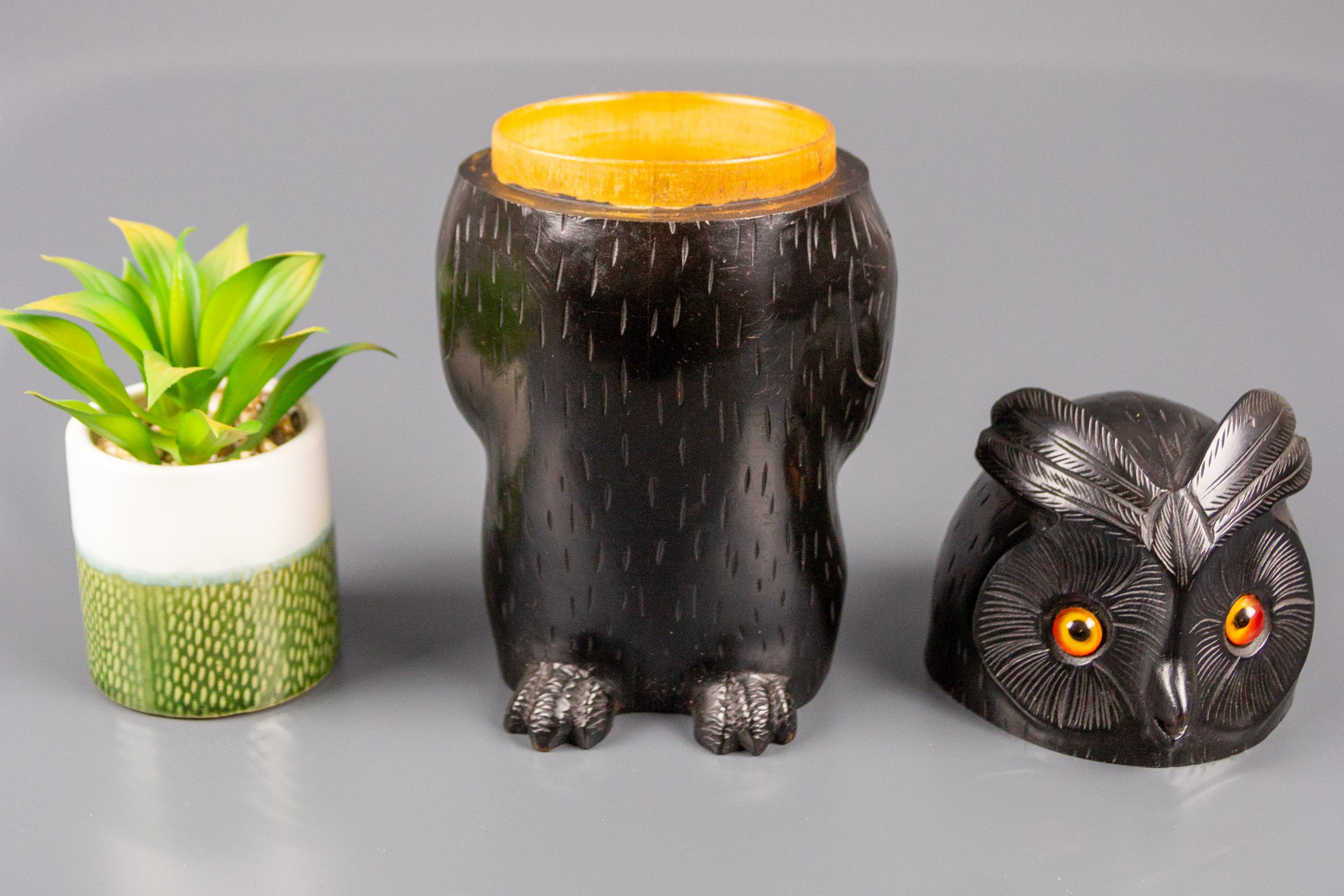 Black Forest Style Wooden Carved Trinket Box in the Shape of an Owl 9
