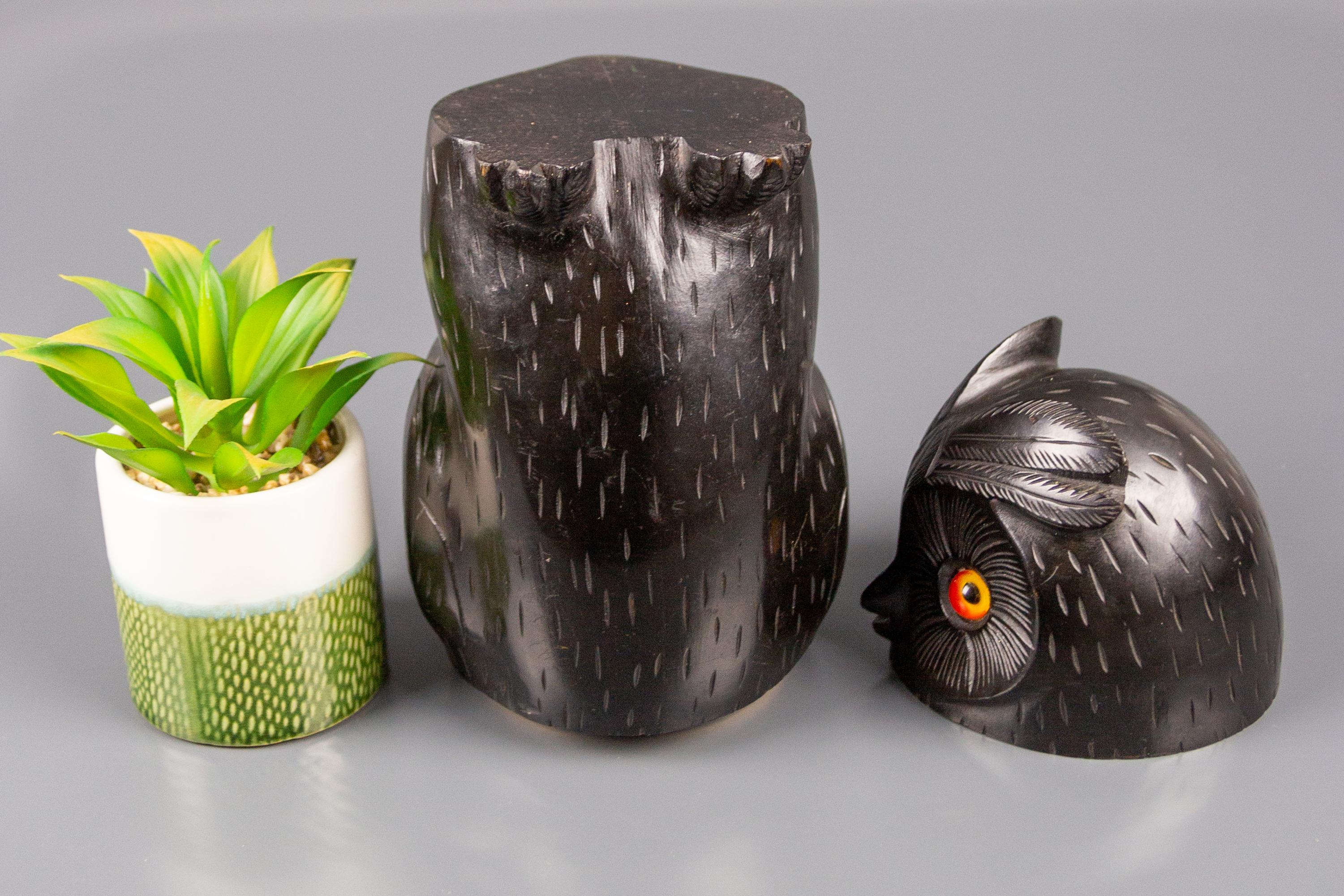Black Forest Style Wooden Carved Trinket Box in the Shape of an Owl 11