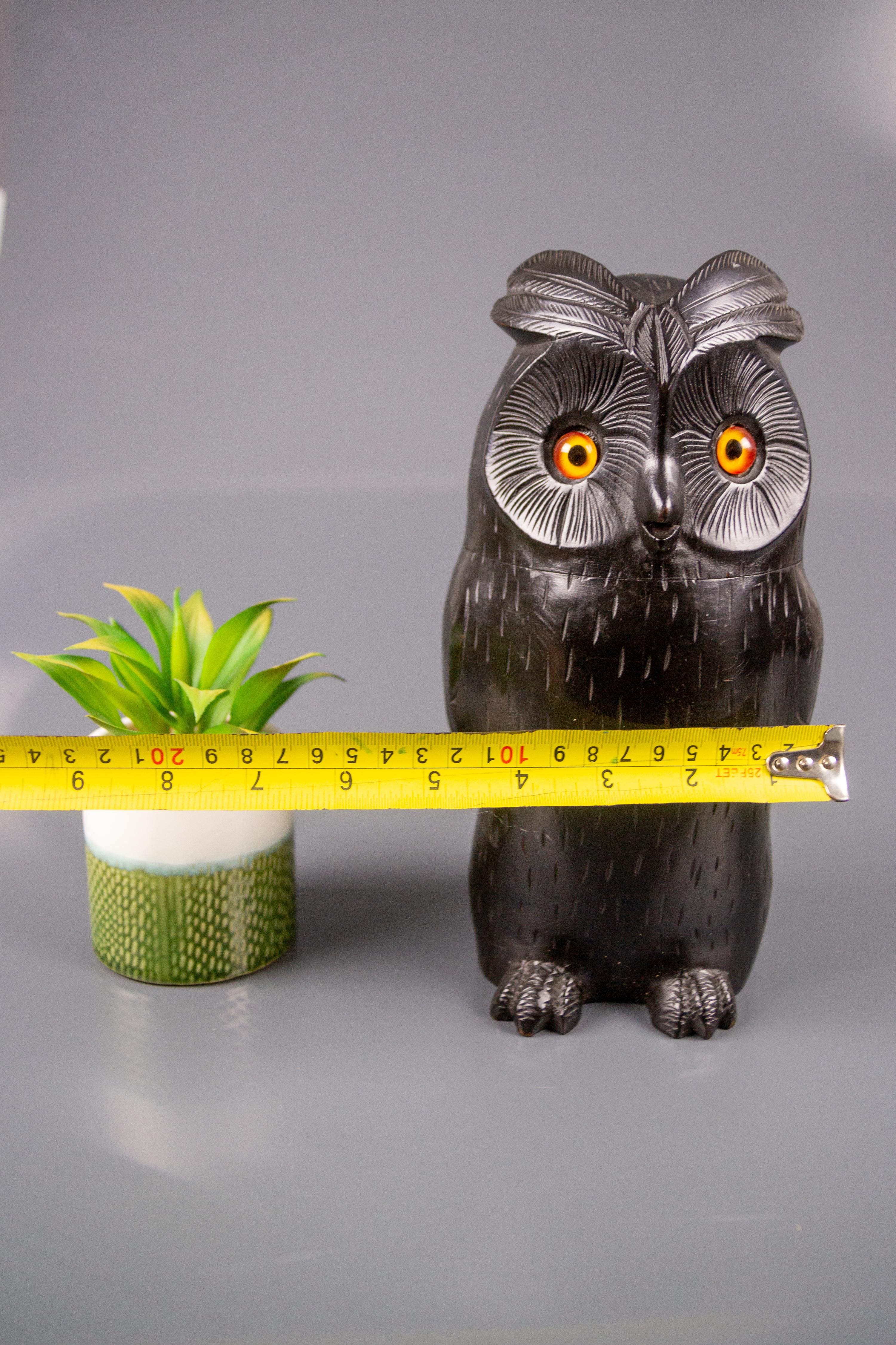 Black Forest Style Wooden Carved Trinket Box in the Shape of an Owl 14