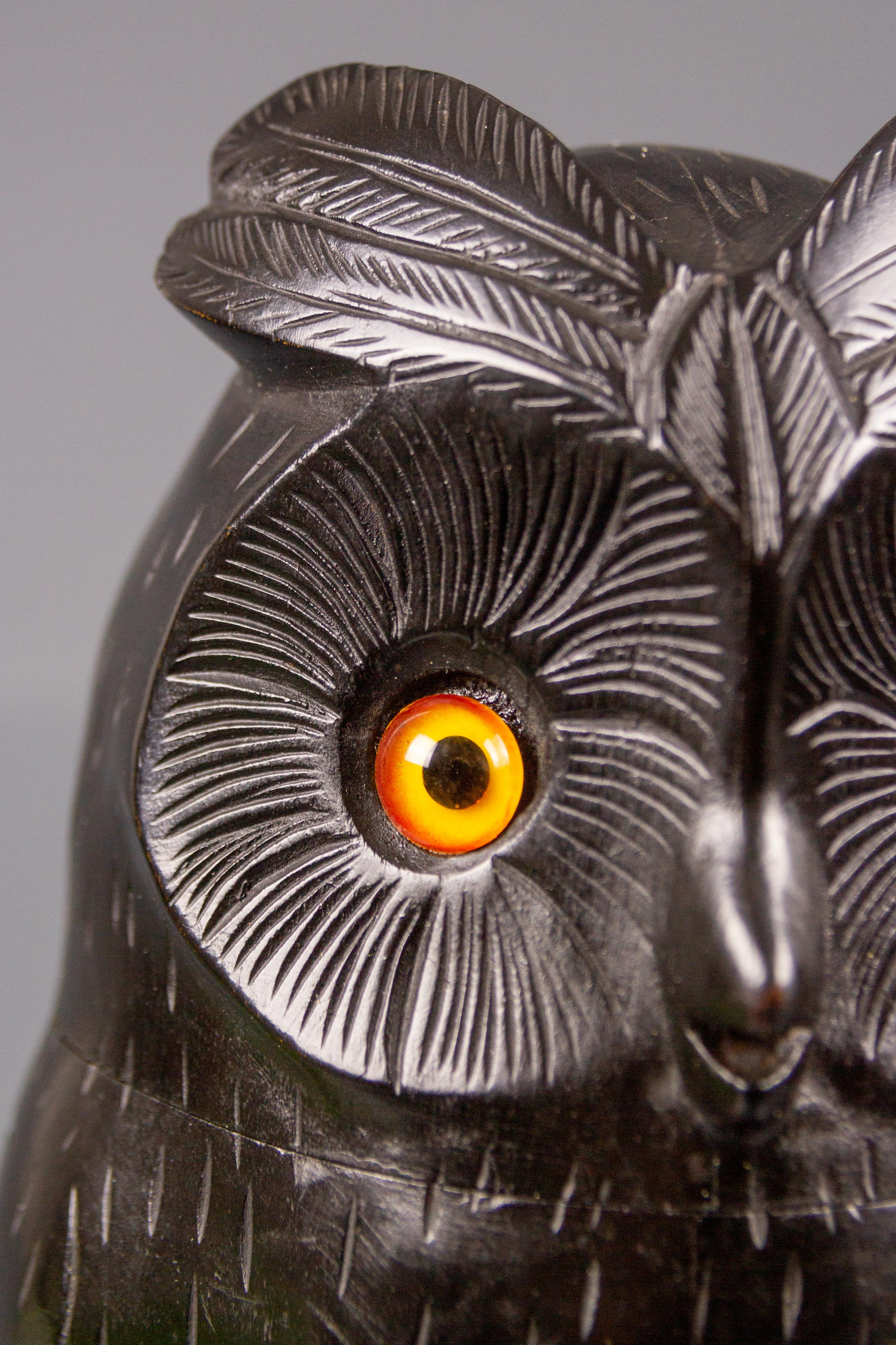 Mid-20th Century Black Forest Style Wooden Carved Trinket Box in the Shape of an Owl