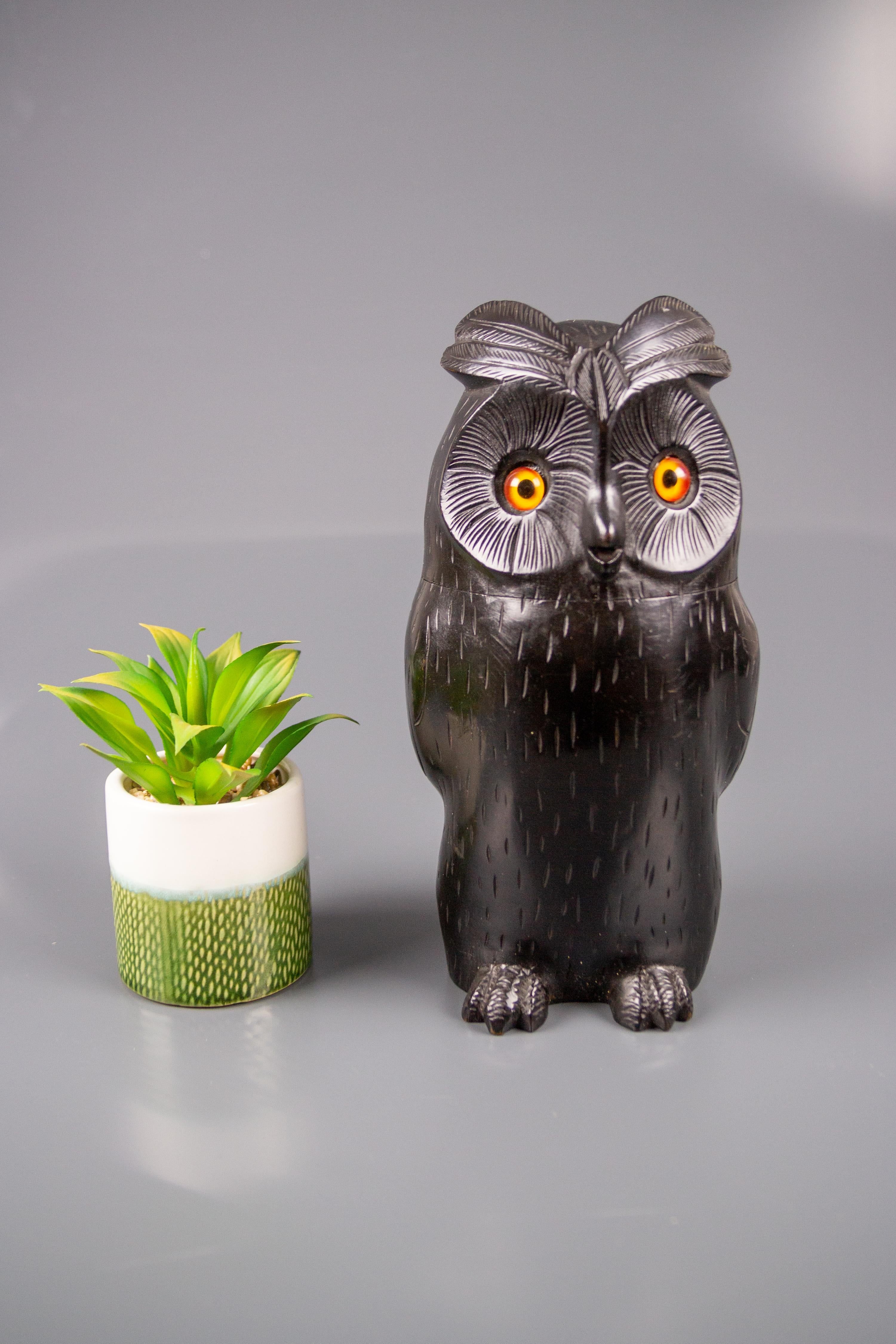 Black Forest Style Wooden Carved Trinket Box in the Shape of an Owl 1