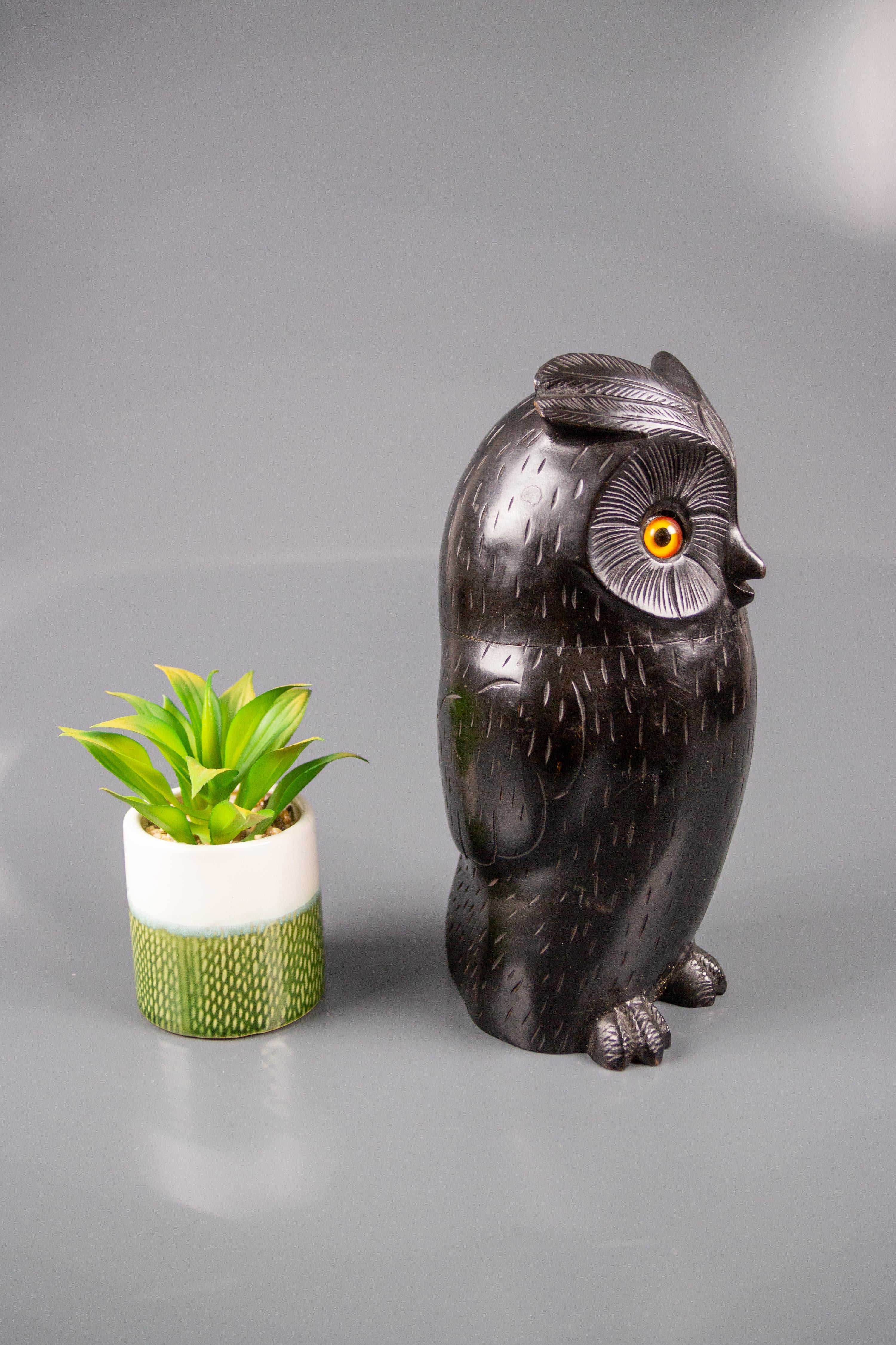 Black Forest Style Wooden Carved Trinket Box in the Shape of an Owl 2