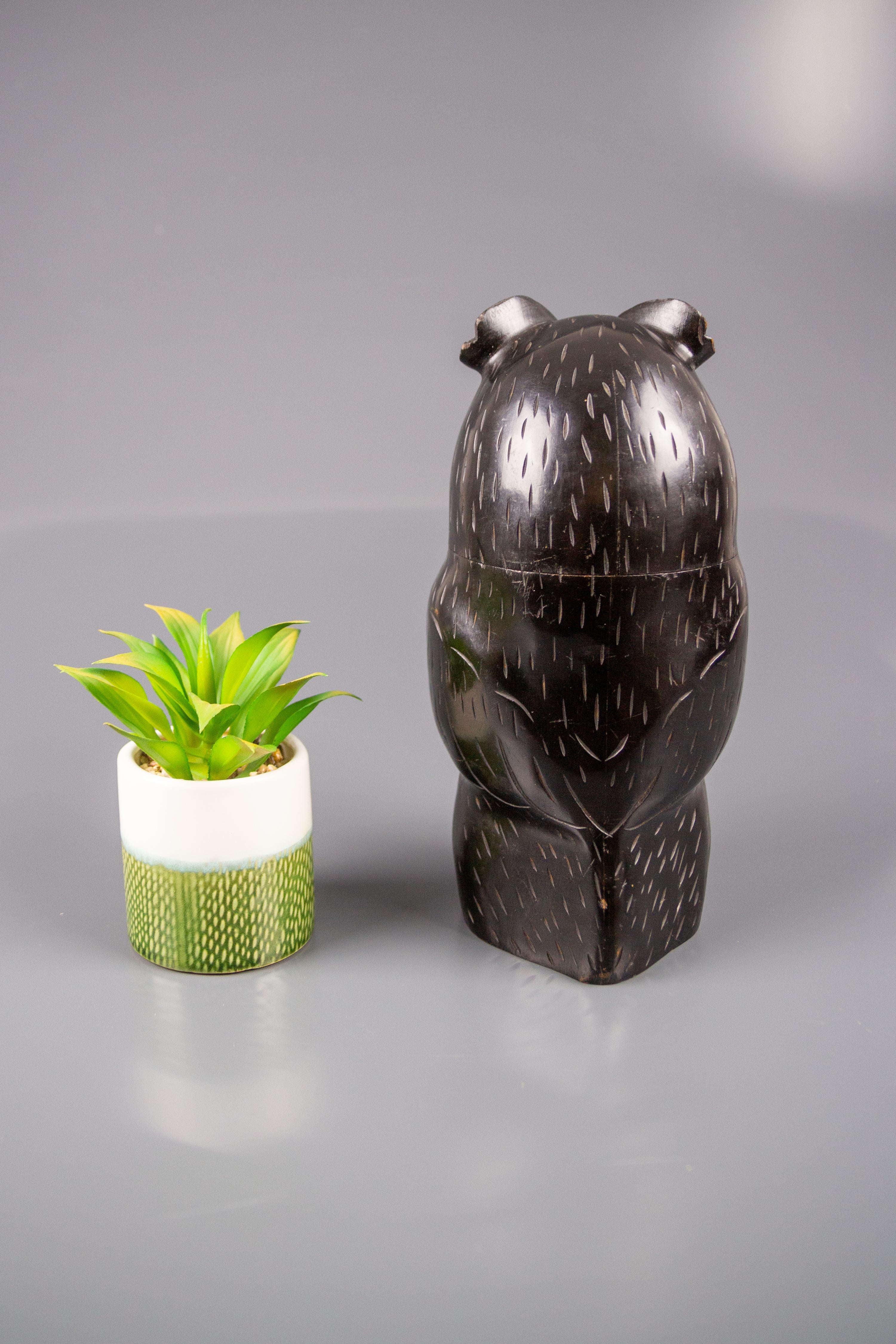 Black Forest Style Wooden Carved Trinket Box in the Shape of an Owl 4