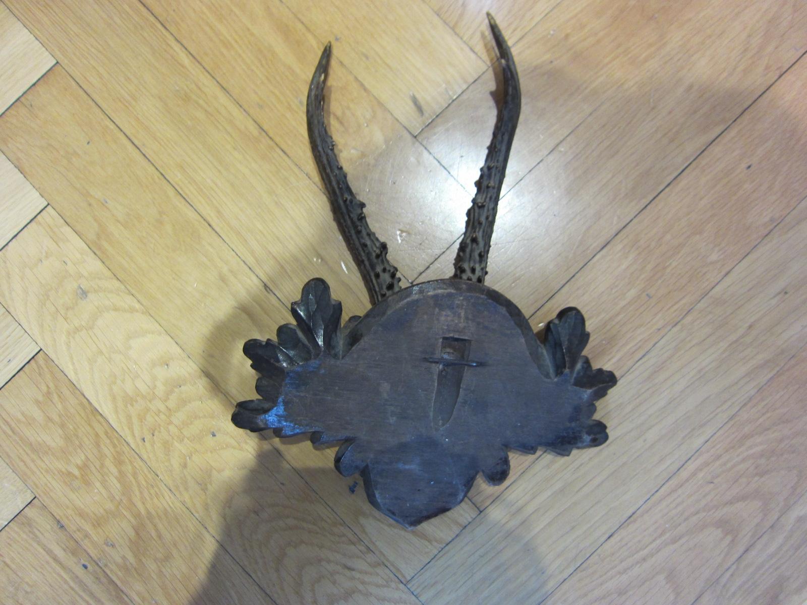Austrian Black Forest taxidermy, antique deer, 1888 For Sale