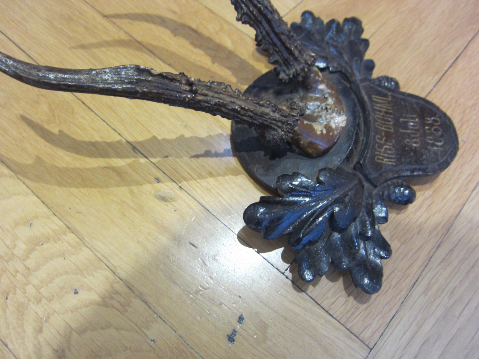 Black Forest taxidermy, antique deer, 1888 In Good Condition For Sale In Vienna, AT