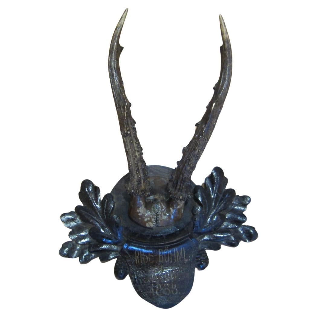 Black Forest taxidermy, antique deer, 1888