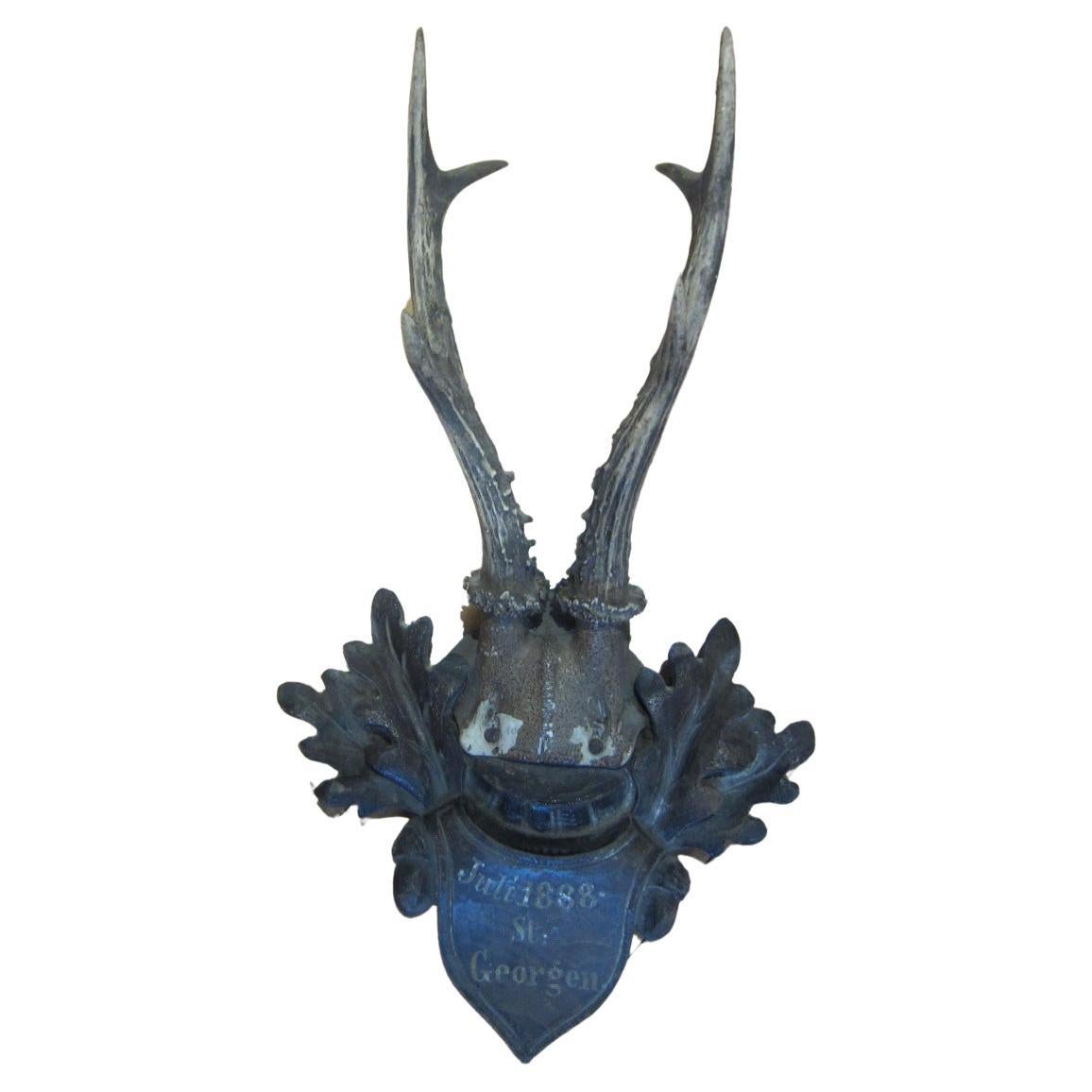 Black Forest taxidermy, antique deer, 1888