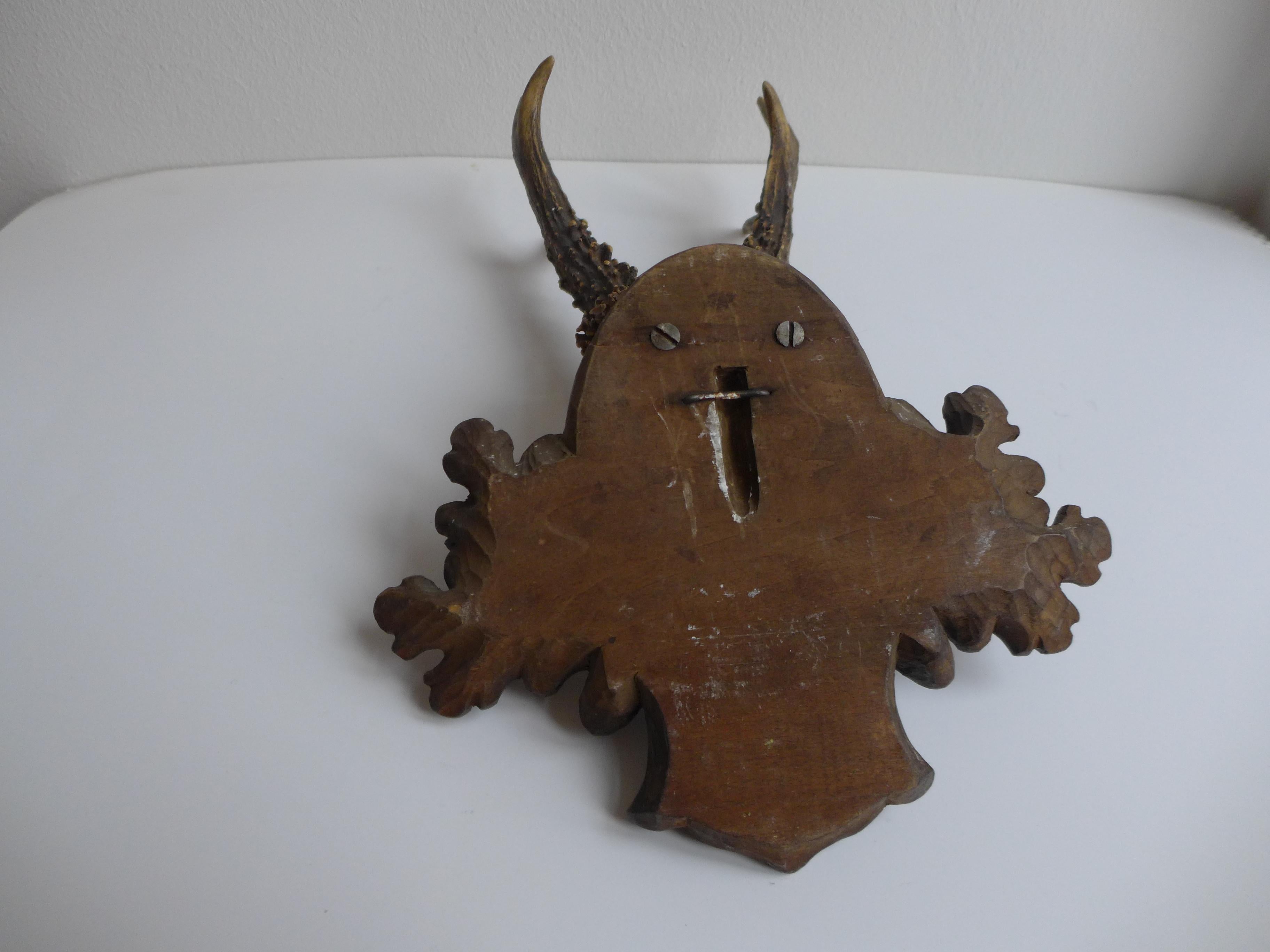 Taxidermia Black Forest, ciervo antiguo, 1937 Austríaco en venta