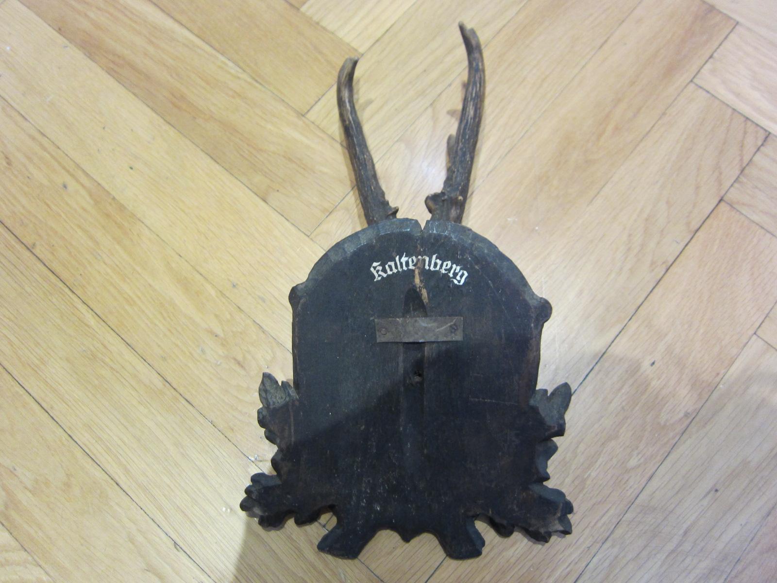 Taxidermia Black Forest, ciervo antiguo, 1957 Bosque negro en venta
