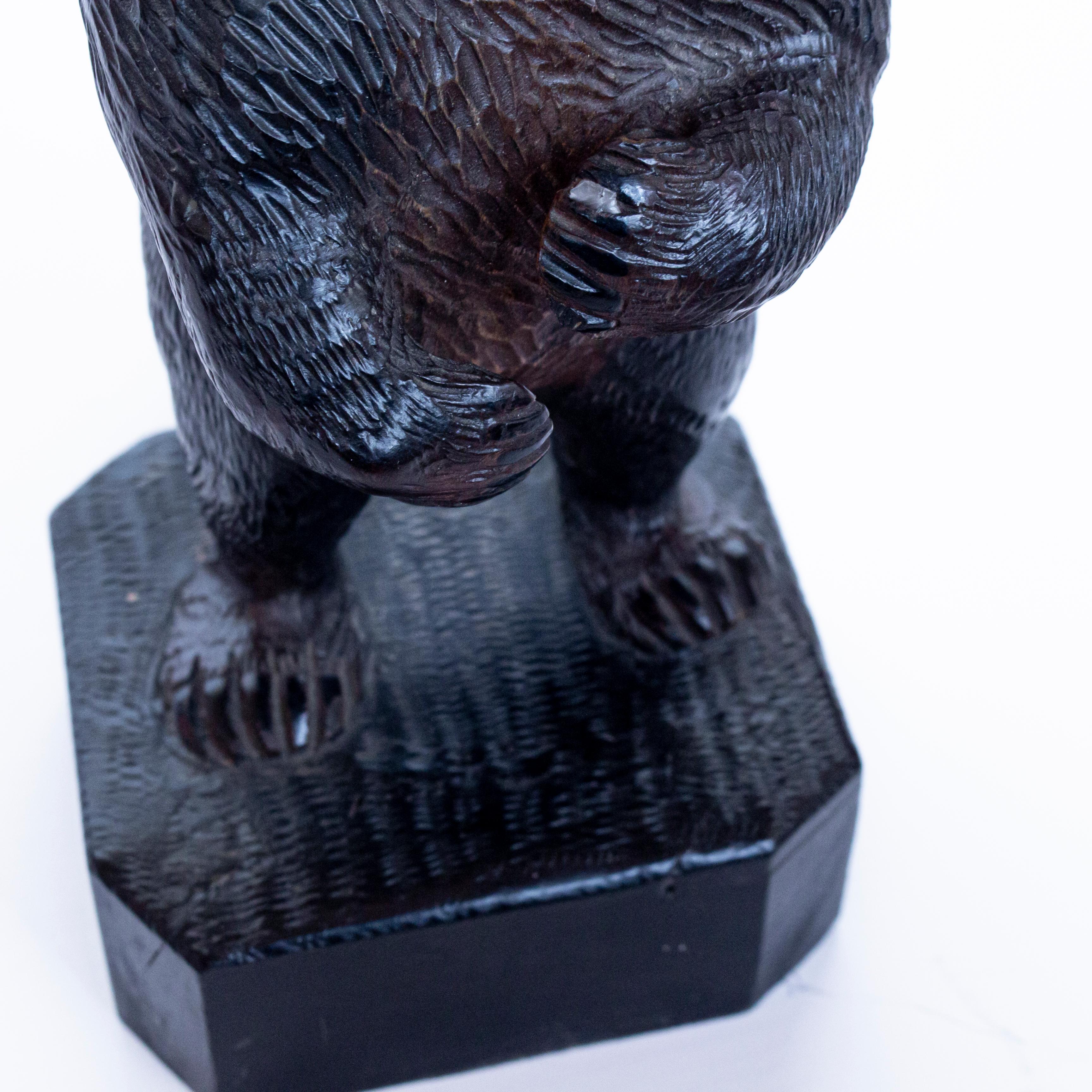 Black Forest Upright Carved Bear with Original Glass Eyes, Swiss, circa 1890 5