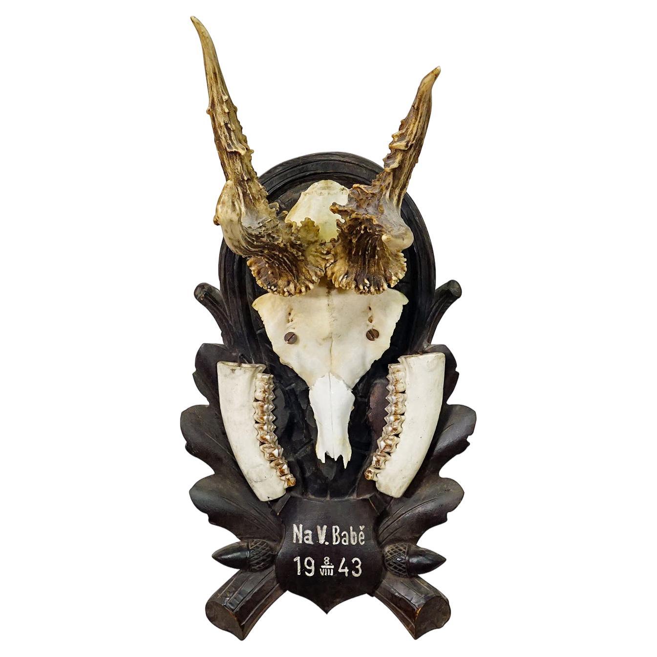 Trophée de cerf vintage de Black Forest sur plaque sculptée 1943