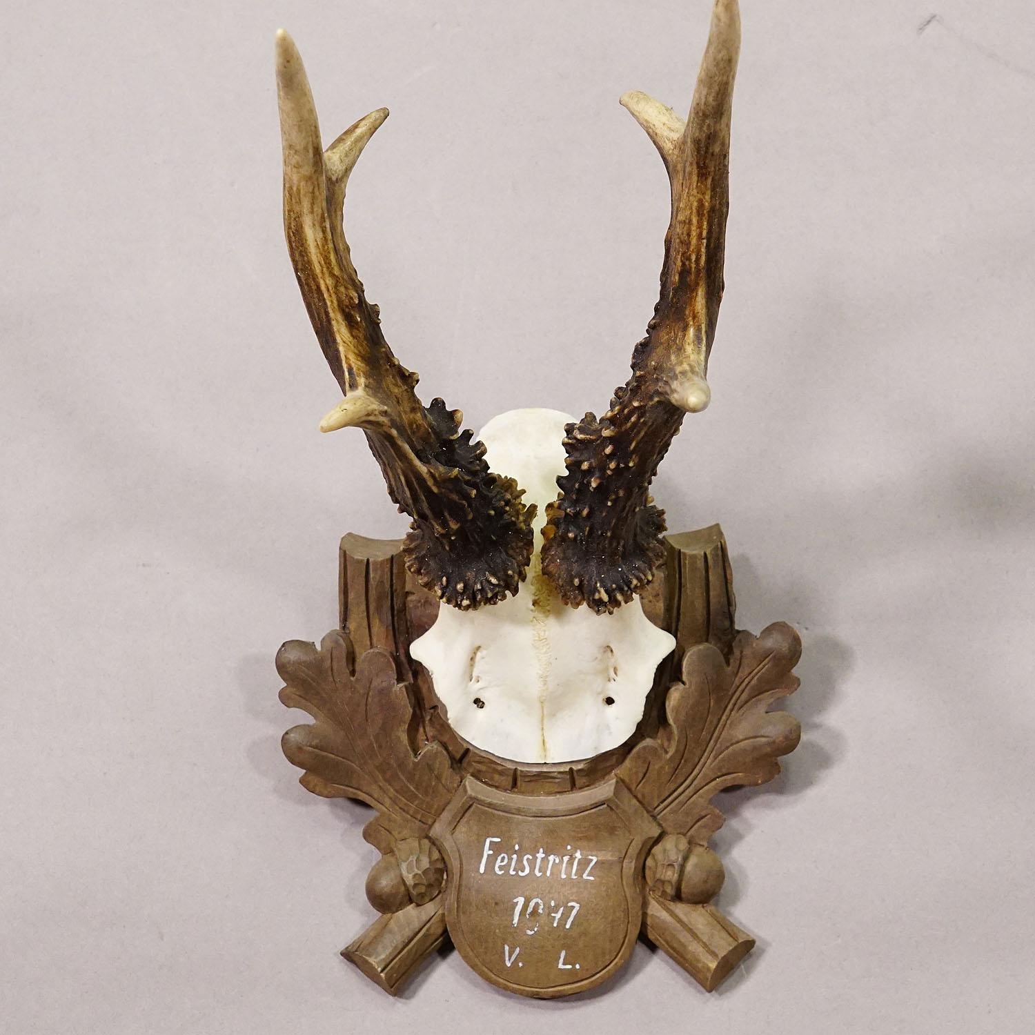 Allemand Trophée de cerf vintage de Black Forest sur plaque sculptée 1947 en vente