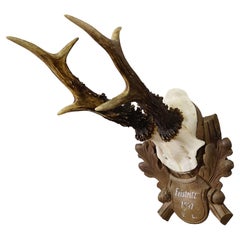 Black Forest Retro Deer Trophy on Carved Plaque 1947