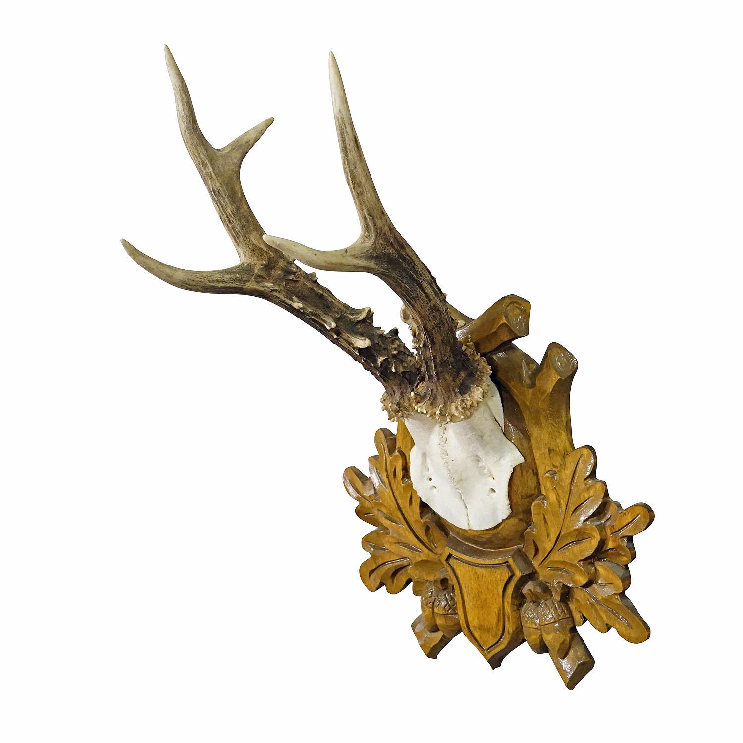 Black Forest Vintage Deer Trophy on Carved Plaque

A large vintage deer (Capreolus capreolus) trophy on a wooden carved plaque. The trophy was shot in Germany ca. 1960s. Good condition.

Trophies are mementos from the hunted game, which are kept by