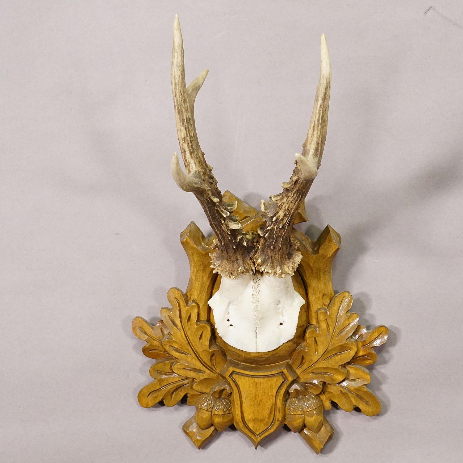 Black Forest Vintage Deer Trophy on Carved Plaque In Good Condition For Sale In Berghuelen, DE