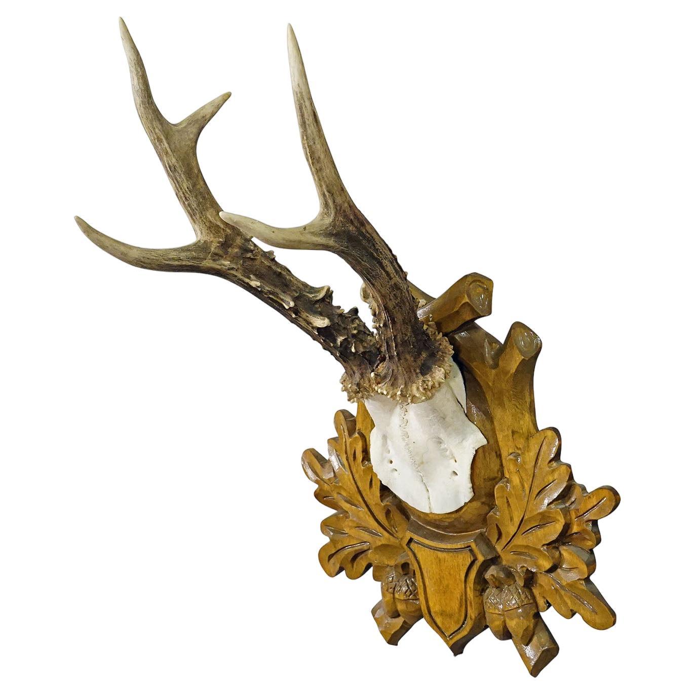 Trophée de cerf vintage de Black Forest sur plaque sculptée
