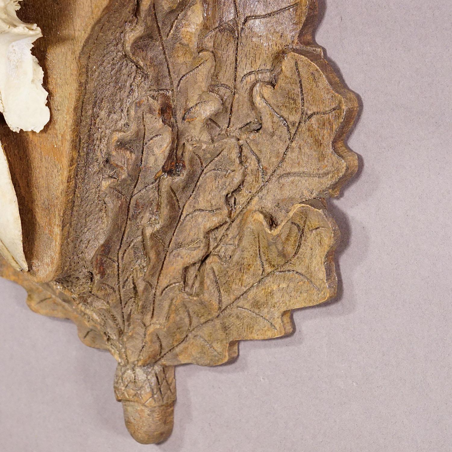 Black Forest Vintage Mufflon Trophäe auf geschnitzter Plakette im Zustand „Gut“ im Angebot in Berghuelen, DE