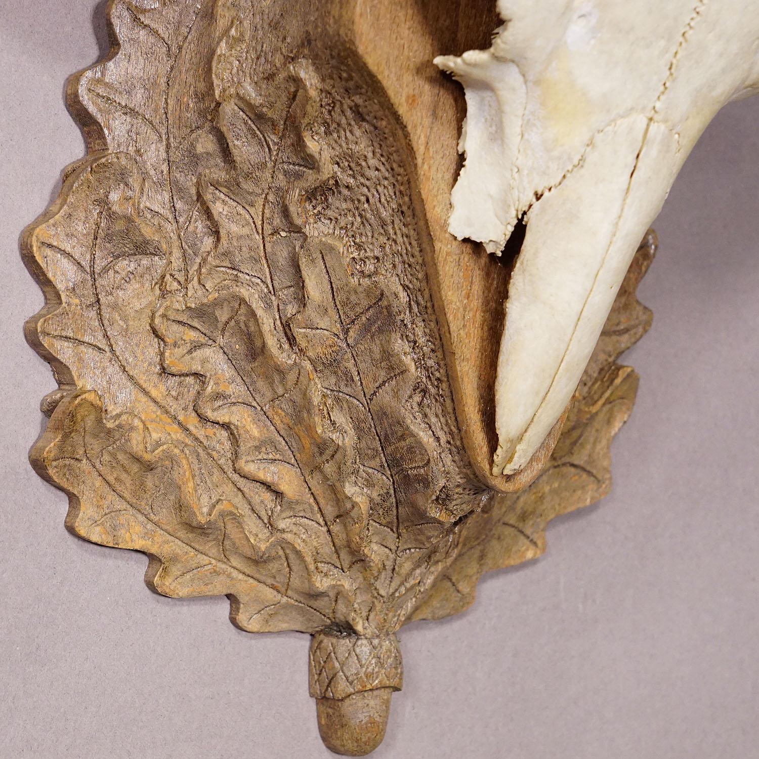 Black Forest Vintage Mufflon Trophäe auf geschnitzter Plakette (Holz) im Angebot