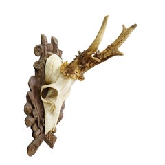 Black Forest Vintage Roe Deer Trophy on Carved Plaque 1940s