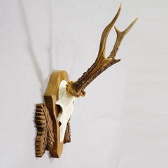 Black Forest Vintage Roe Deer Trophy on Carved Plaque 1950s
