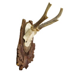 Black Forest Vintage Reh-Trophäe auf geschnitzter Plakette, Deutschland 1930er Jahre