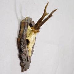 Black Forest Vintage Roe Deer Trophy on Carved Plaque, Germany 1936