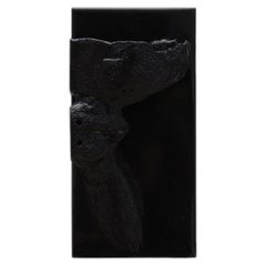 Black Graal, MDF and 3D Printed Petg, Wall Mounted Sculpture by Arthur Bitsch
