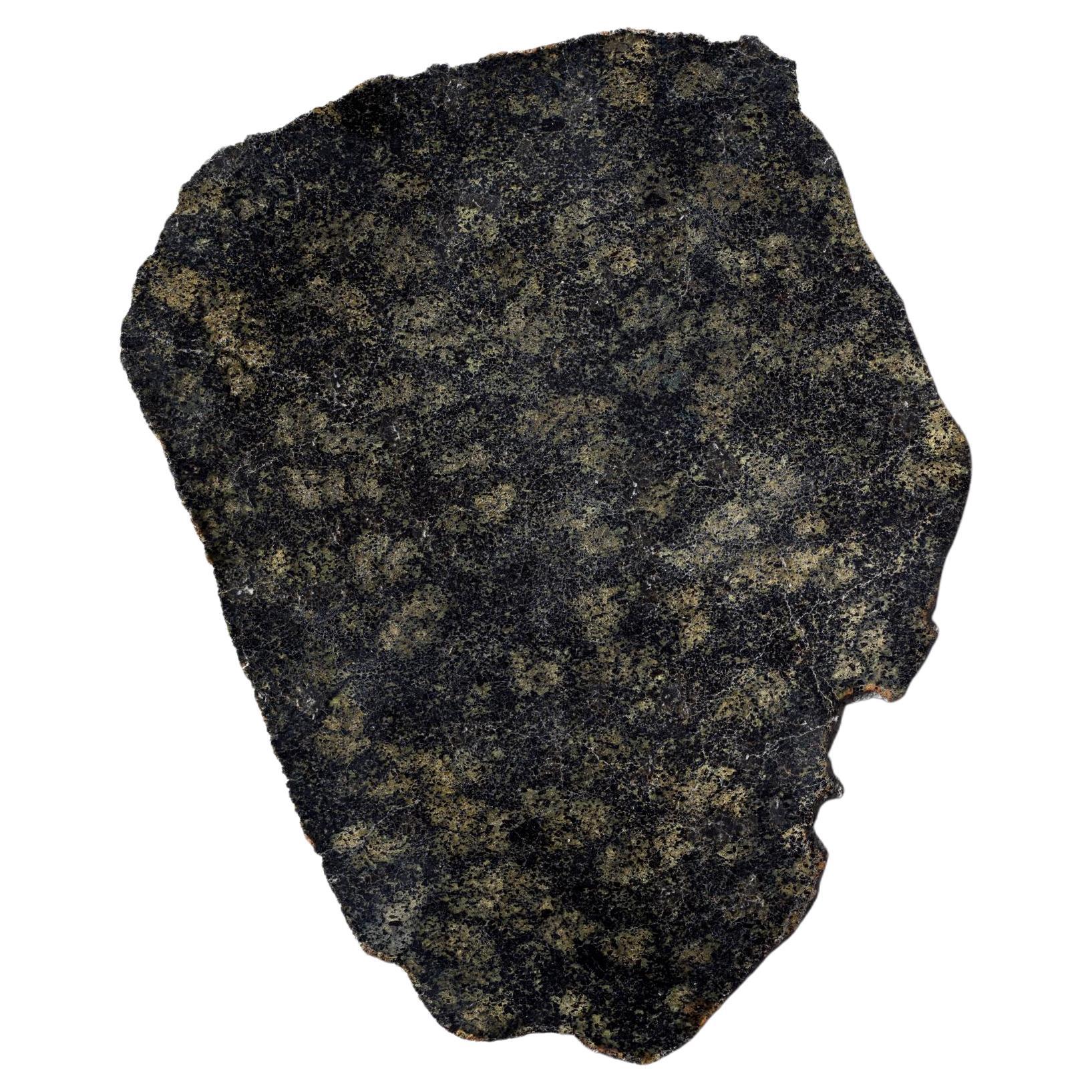 Meteorite marziano con macchie nere e verdi in vendita