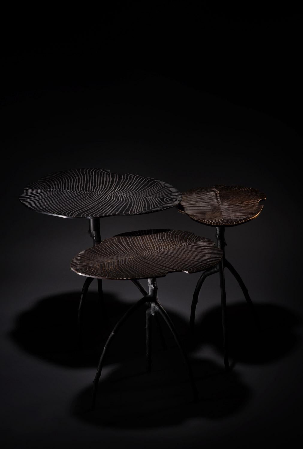 From those three side tables, 560 millions of years are contemplating us. Done in Bronze by a 