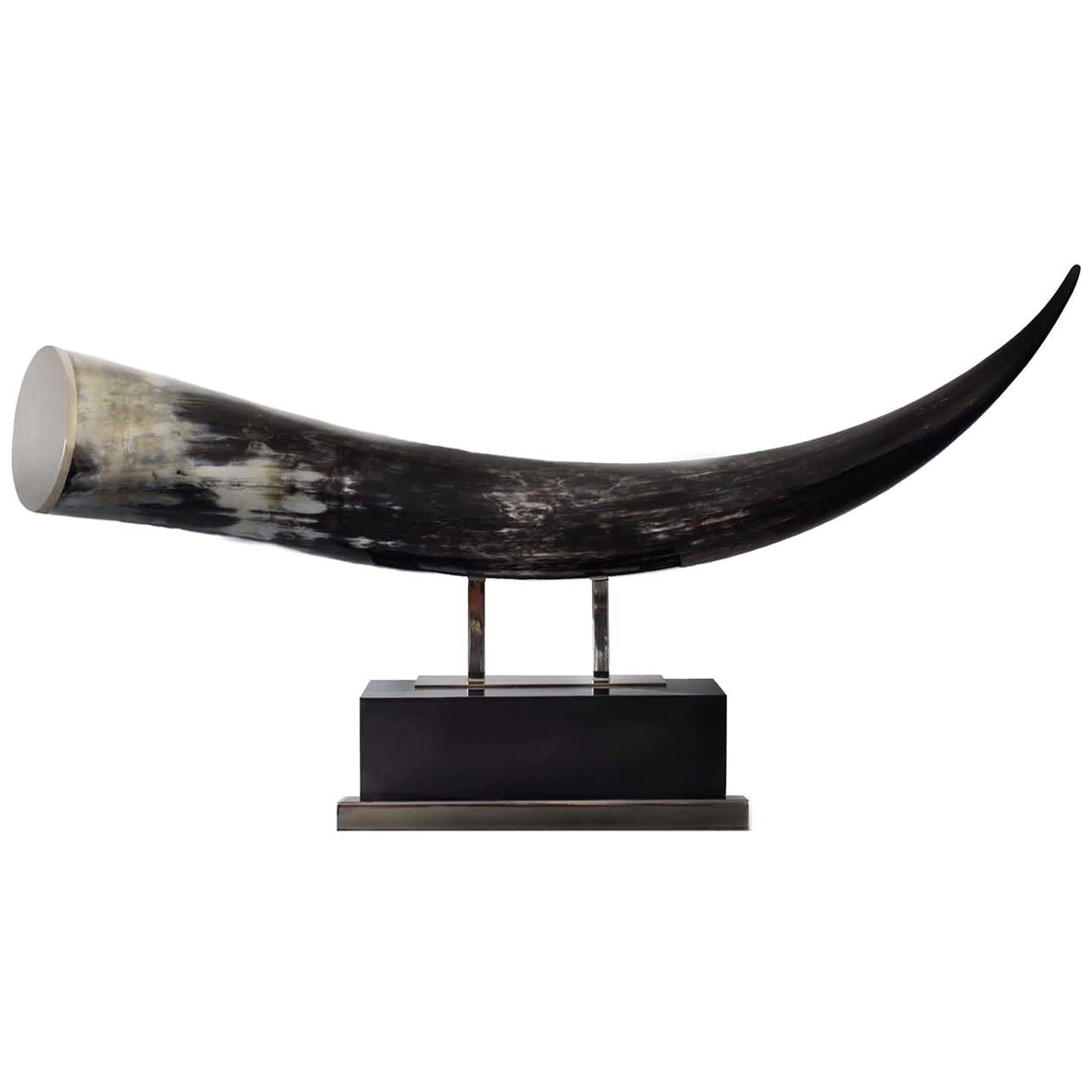 Black Horn Sculpture by Zanchi 1952