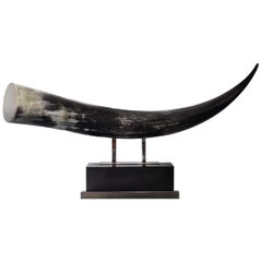 Black Horn Sculpture by Zanchi 1952