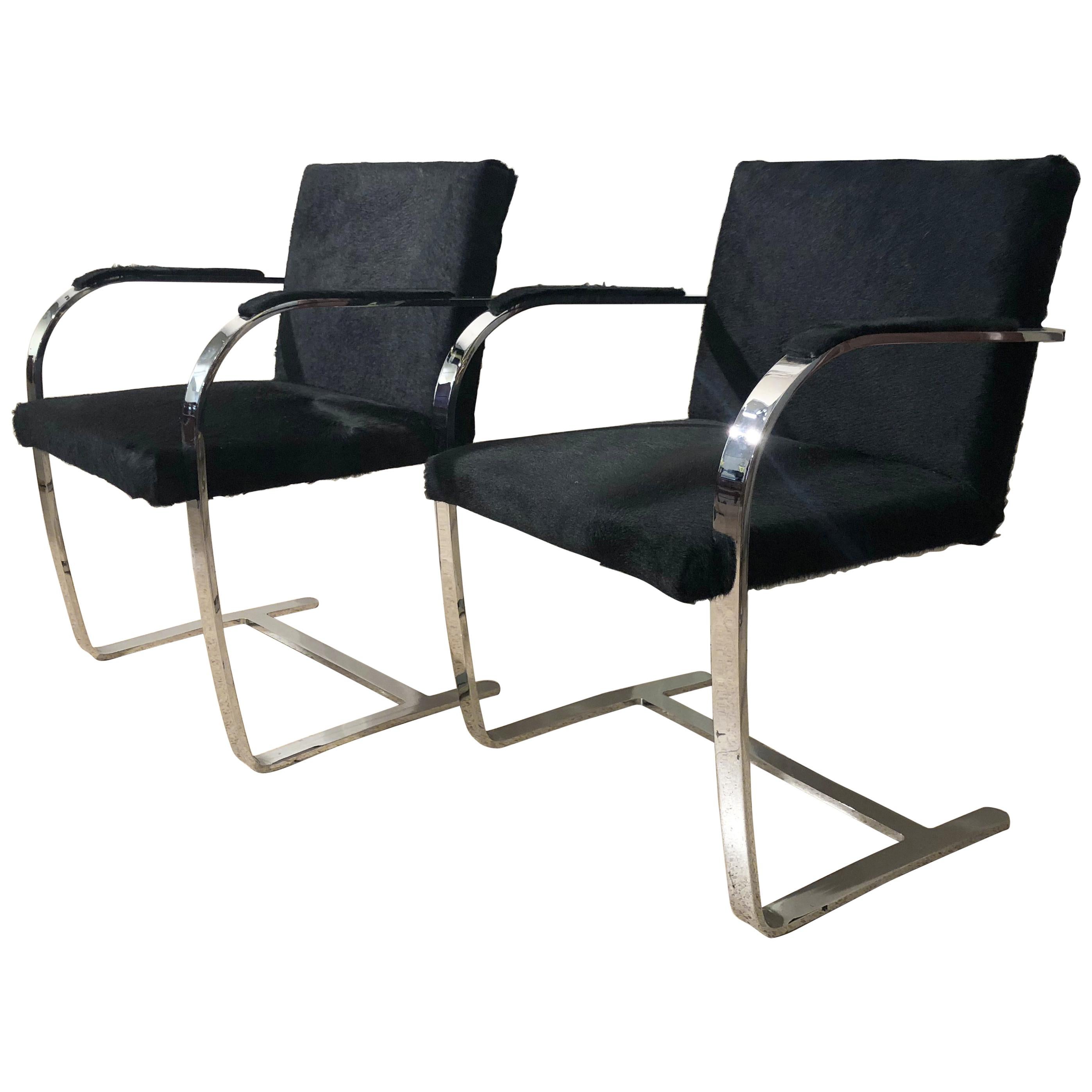 Black Horse Fur Brno Model Knoll Chairs with Armrest, Knoll Production, 1990s