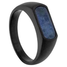 Black IP Stainless Steel RT Signet Ring with Sodalite, Size S For Sale