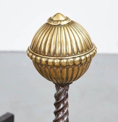 Black Iron and Brass Andirons