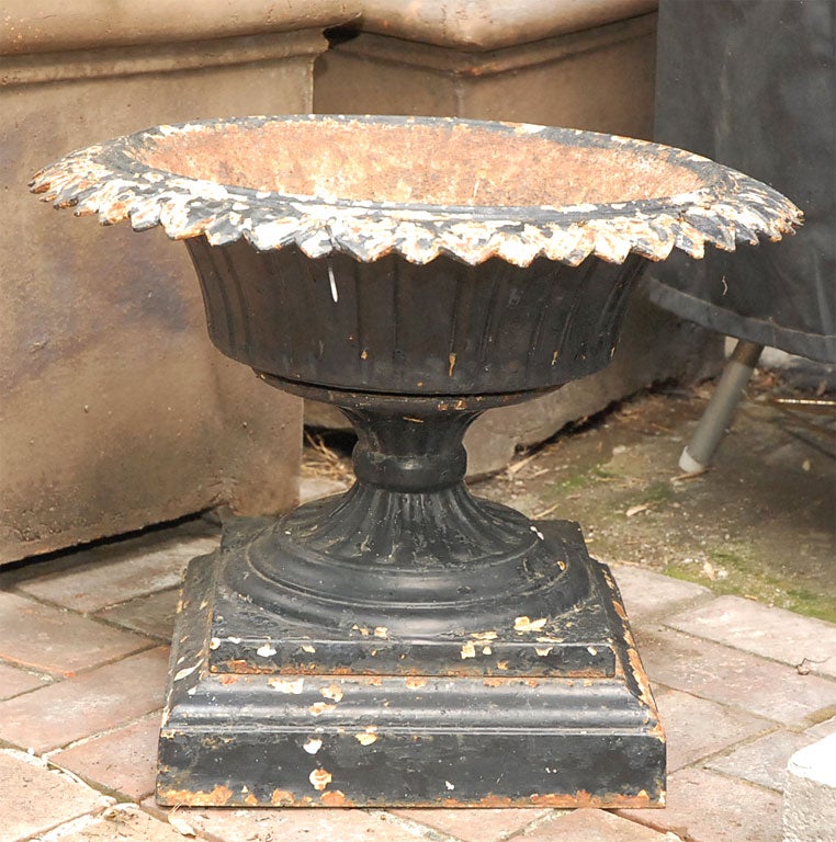 Black iron urn or planter from late 19th-century England. The neoclassical shape harmonizes with its rustic patination, giving this piece a romantic air. 

England, circa 1880

Dimensions: 22W x 22D x 18H