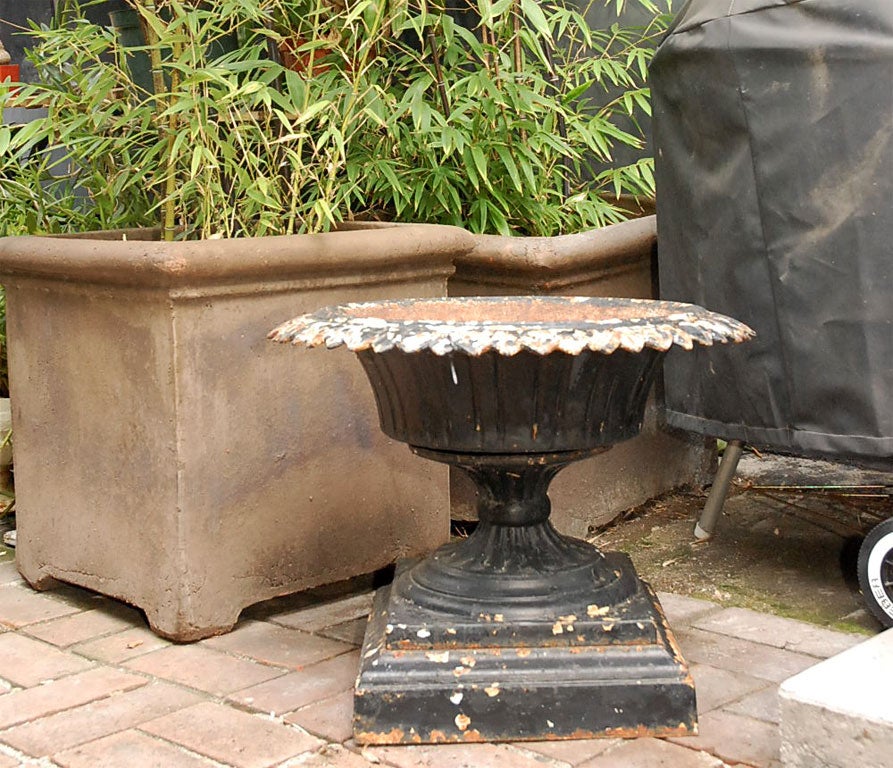 English Black Iron Urn or Planter from Late 19th Century England