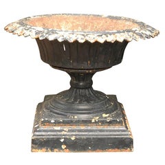 Black Iron Urn or Planter from Late 19th Century England