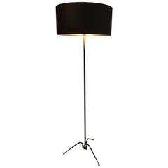 Antique Black Lacquered and Brass Design Floor Lamp, French, circa 1950