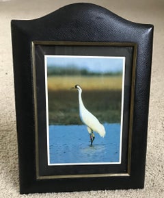 Black Leather Frame with Brass Inset Rim