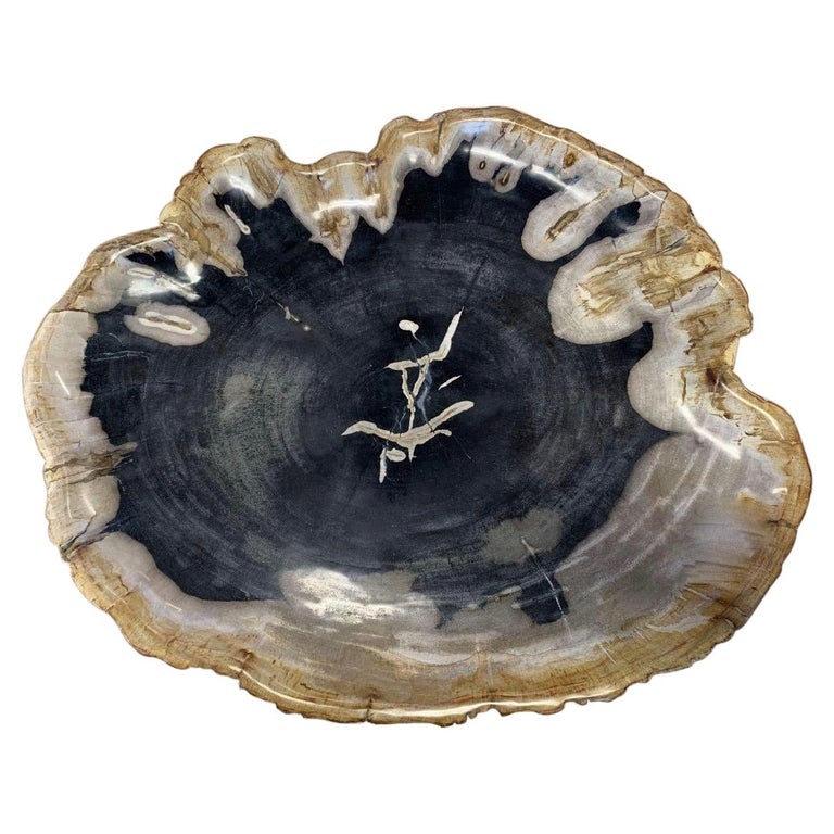 Black, Light Grey, Rust Petrified Wood Plate, Indonesia, Prehistoric For Sale