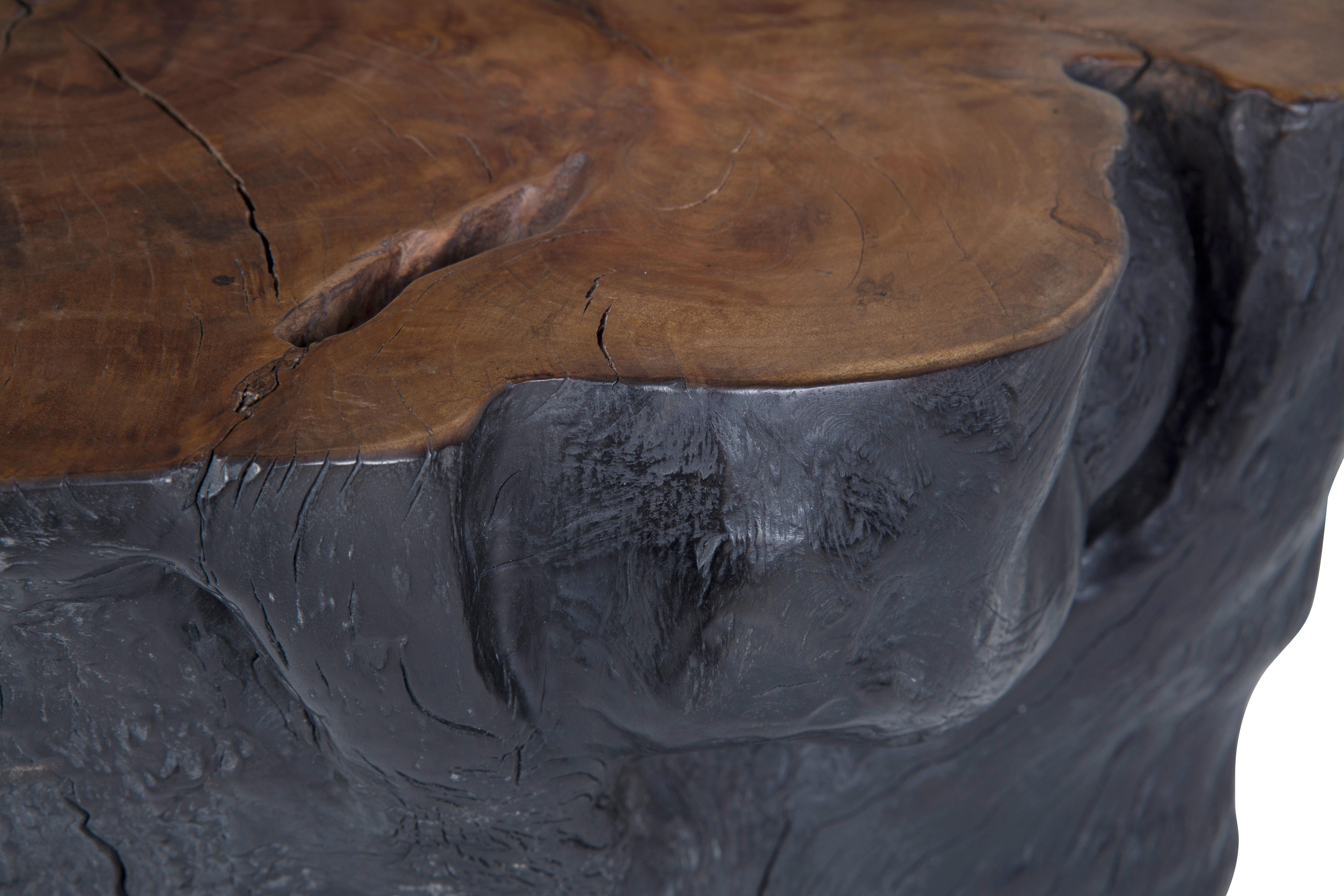 Stained Black Lychee Wood Stump End Table with Warm Top