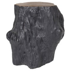 Black Lychee Wood Stump End Table with Warm Top