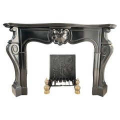 Black Marble Antique Circular Fireplace Noir de Mazy
