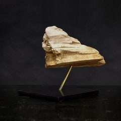 Black Marble Brass Driftwood Sculpture Accent Center Table Natural Art