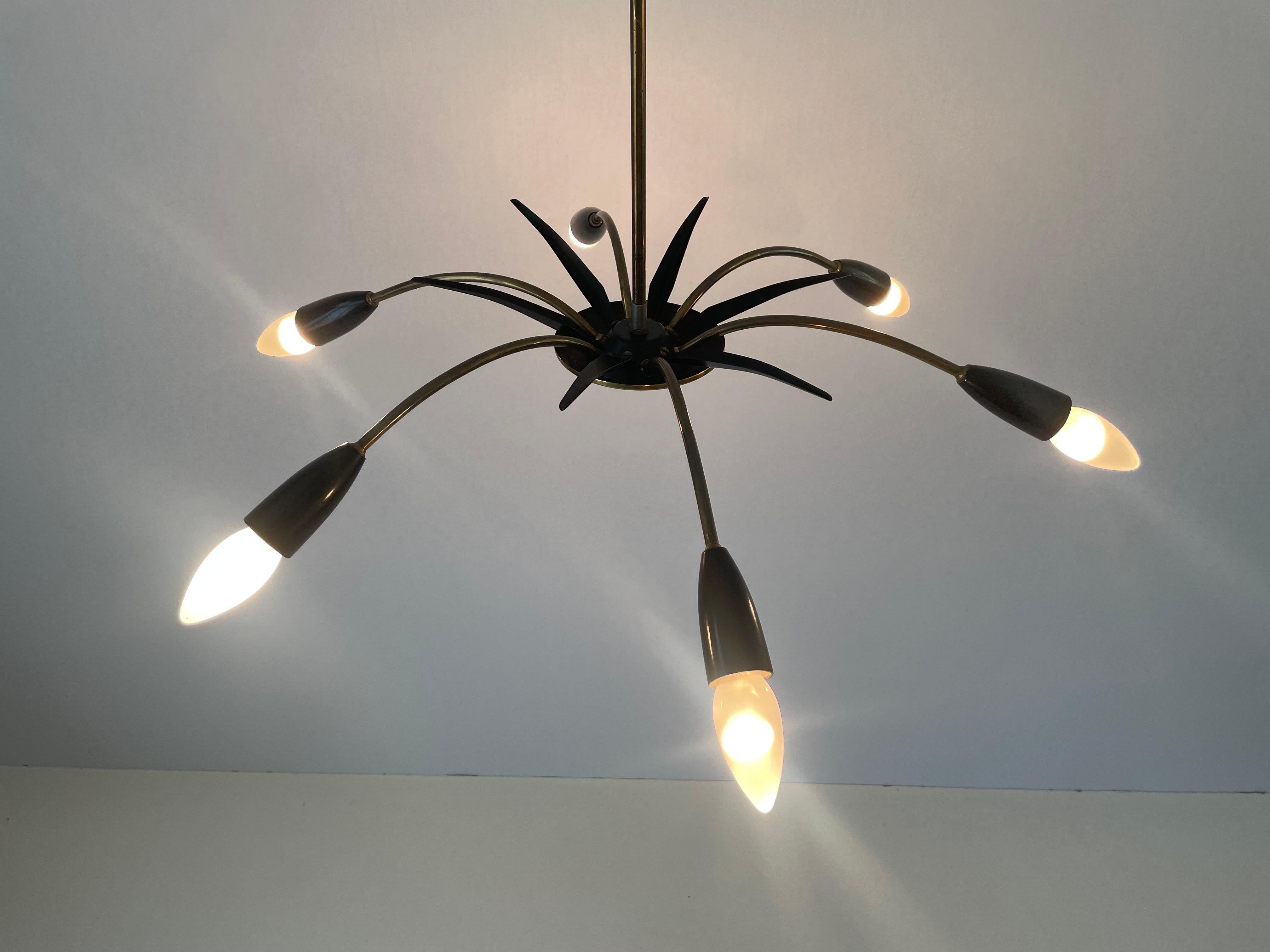 Black Metal & 6-armed Brass Body Ceiling Lamp, 1950s, Germany For Sale 6