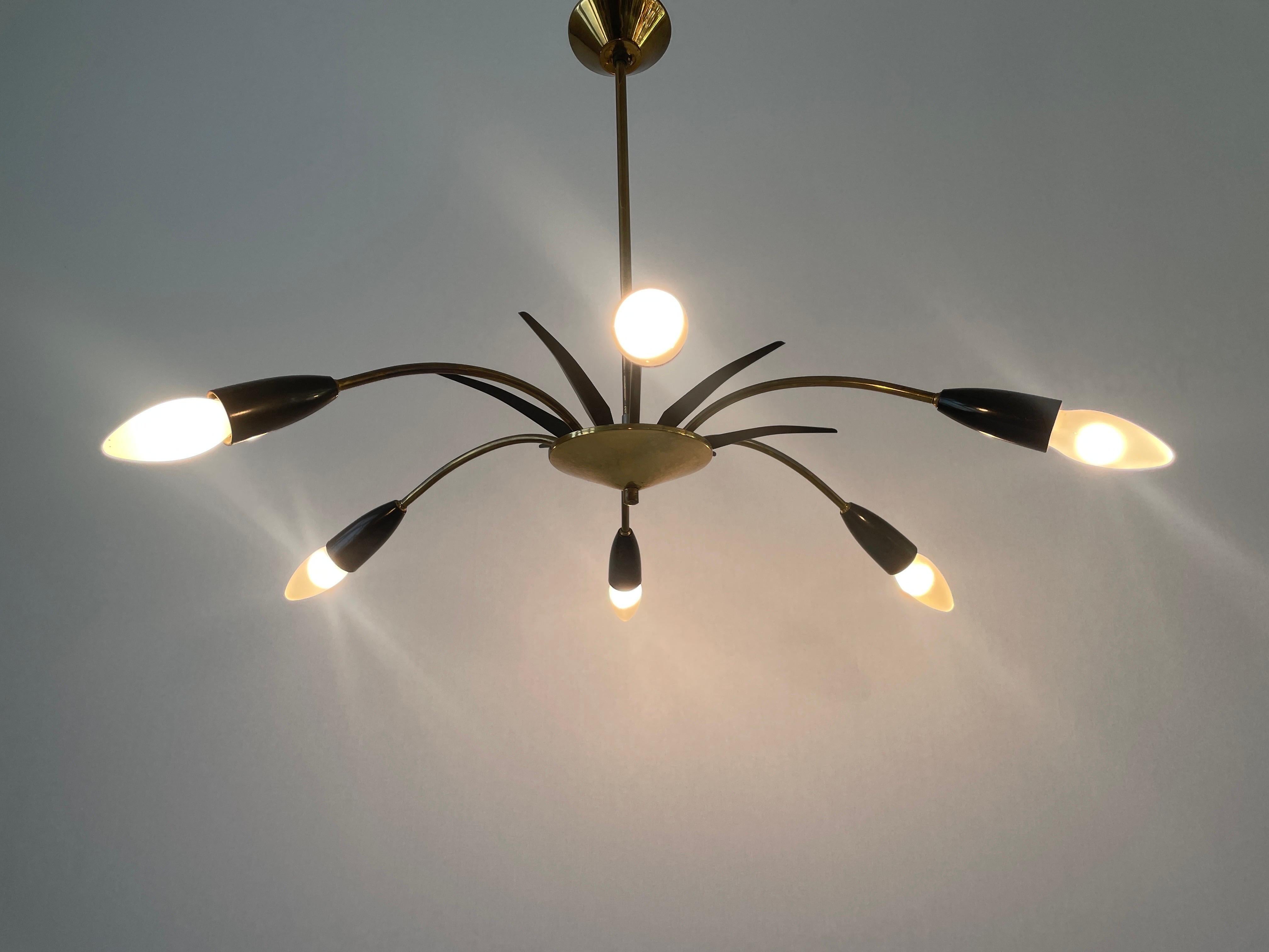 Black Metal & 6-armed Brass Body Ceiling Lamp, 1950s, Germany For Sale 7