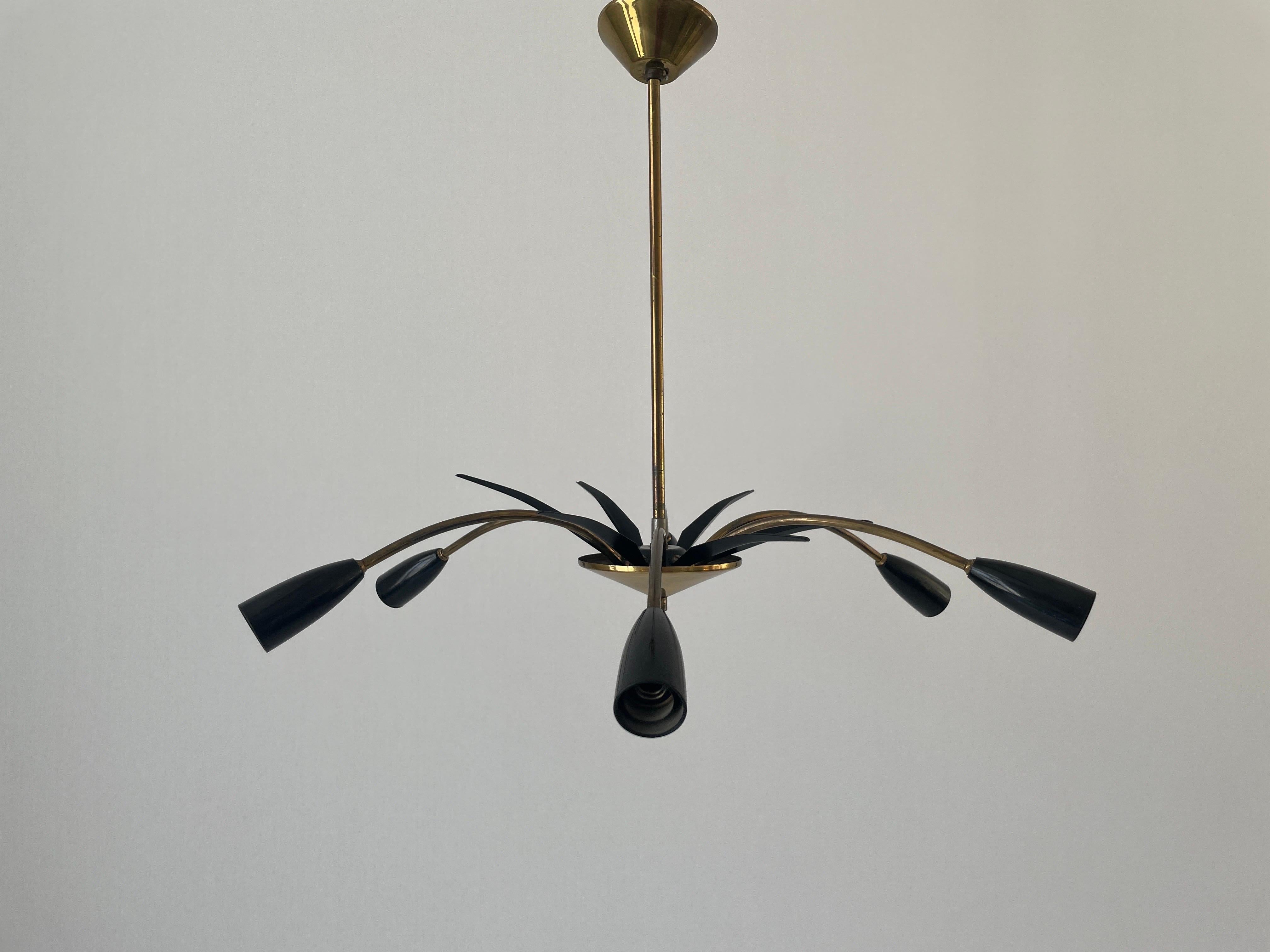Mid-20th Century Black Metal & 6-armed Brass Body Ceiling Lamp, 1950s, Germany For Sale