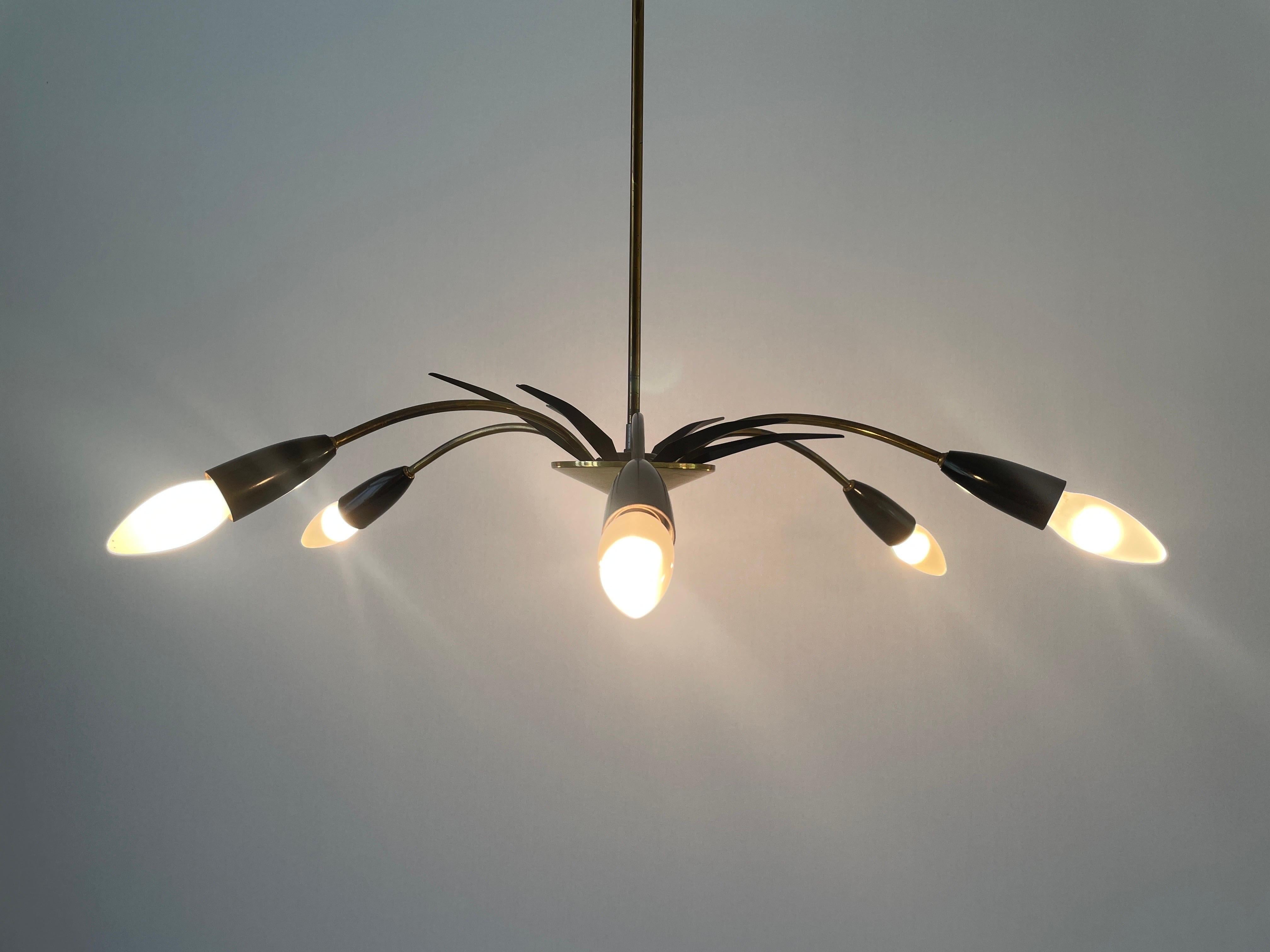 Black Metal & 6-armed Brass Body Ceiling Lamp, 1950s, Germany For Sale 2